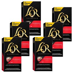 SPLENDENTE L'OR 10 cápsulas: Sabor y Sostenibilidad